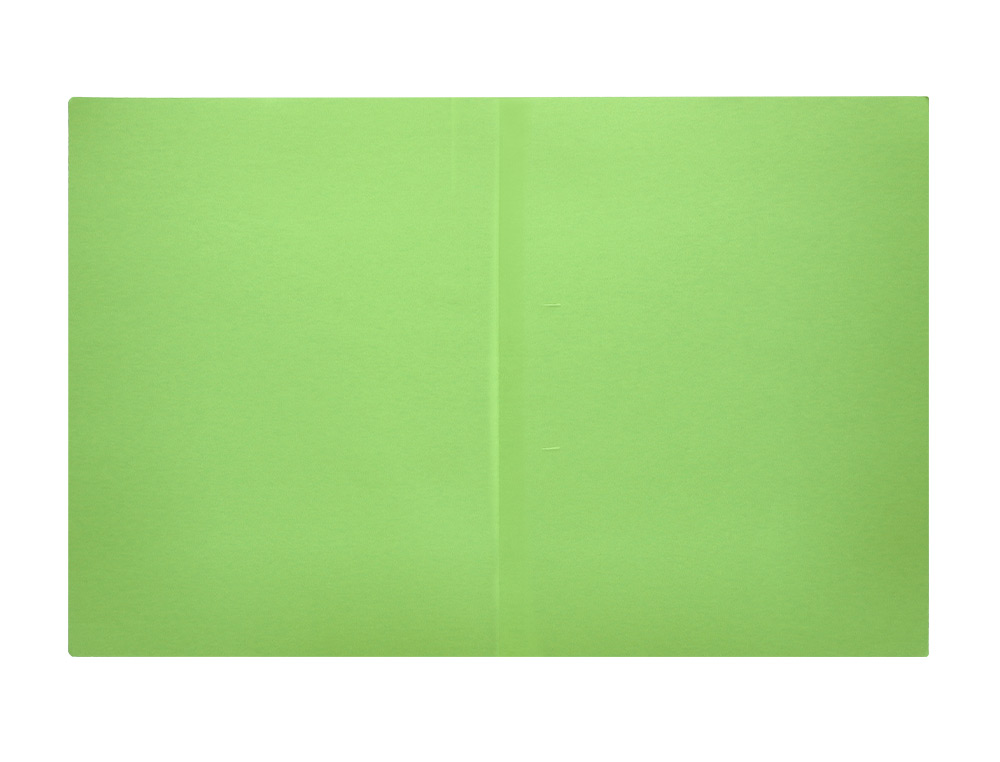 SOUS-CHEMISE LIDERPAPEL PAPIER CARTONNÉ 180G 310X230MM DOCUMENT A4 210X297MM COLORIS PASTEL VERT INTENSE
