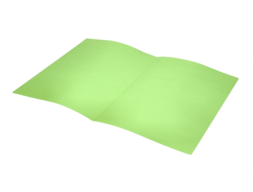 SOUS-CHEMISE LIDERPAPEL PAPIER CARTONNÉ 180G 310X230MM DOCUMENT A4 210X297MM COLORIS PASTEL VERT INTENSE