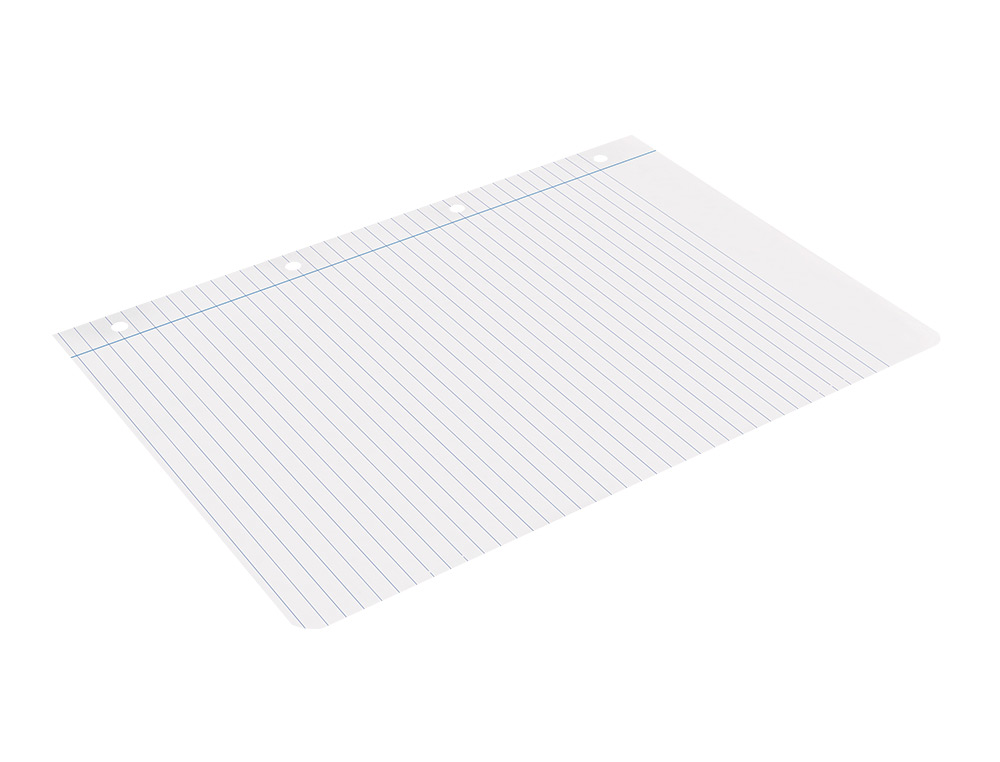 BLOC-NOTES LIDERPAPEL 100 FEUILLES ENCOLLES 100G A4 100 G/M2 LIGN HORIZONTAL MARGE 4 TROUS