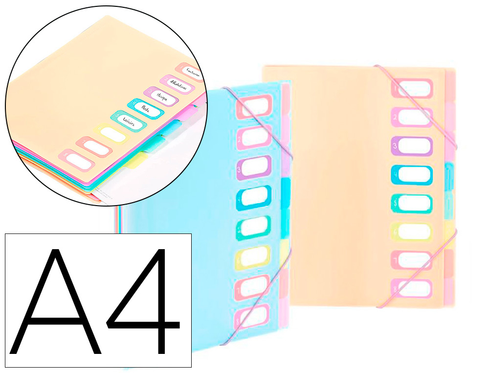 TRIEUR VIQUEL RAINBOW PASTEL 8 COMPARTIMENTS POLYPROPYLENE A4 25.5X32CM COLORIS ASSORTIS PASTEL