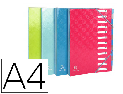 TRIEUR EXACOMPTA HARMONIKA 12 COMPARTIMENTS CARTE LUSTREE   EXTENSIBLE 24,5X32CM          ASSORTIMENT BLEU FRAMBOISE