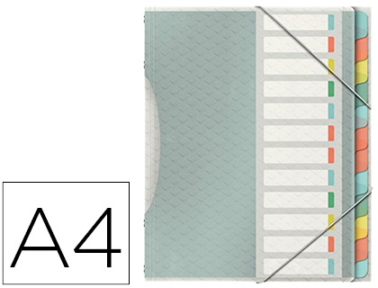 TRIEUR ESSELTE COLOUR'ICE POLYPROPYLNE TEXTUR 266X320MM 12 TOUCHES FERMETURE LASTIQUE COLORIS ASSORTIS